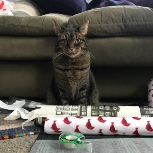 Meet your Posher, Leah